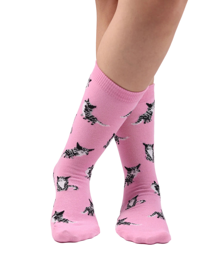 Not So Casual Socks — Pink cat
