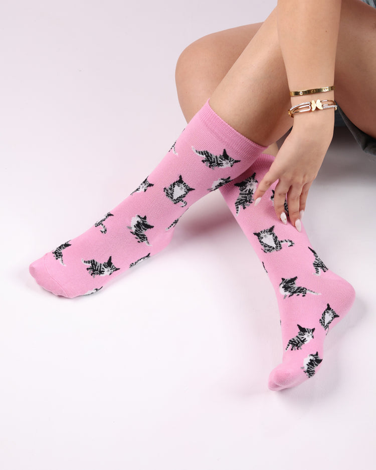 Not So Casual Socks — Pink cat